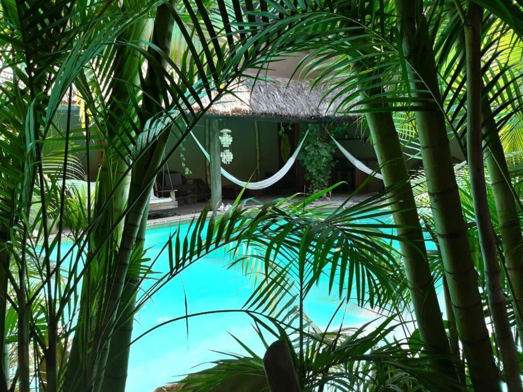 Villas Adriana, Palenque Exteriör bild
